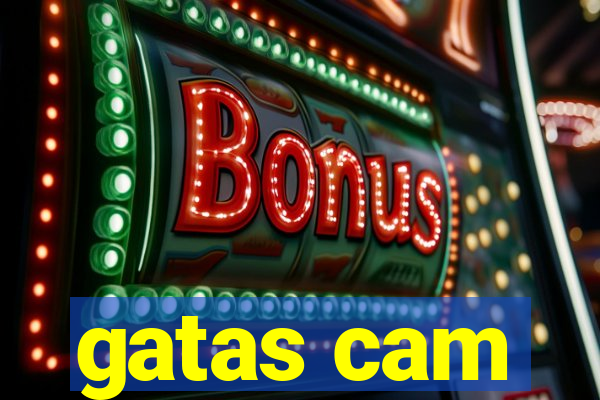 gatas cam